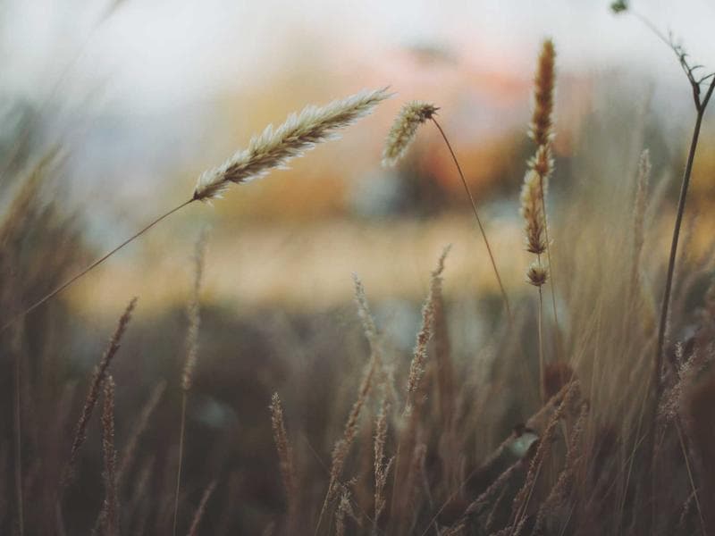 Ситилайт у аэропорта